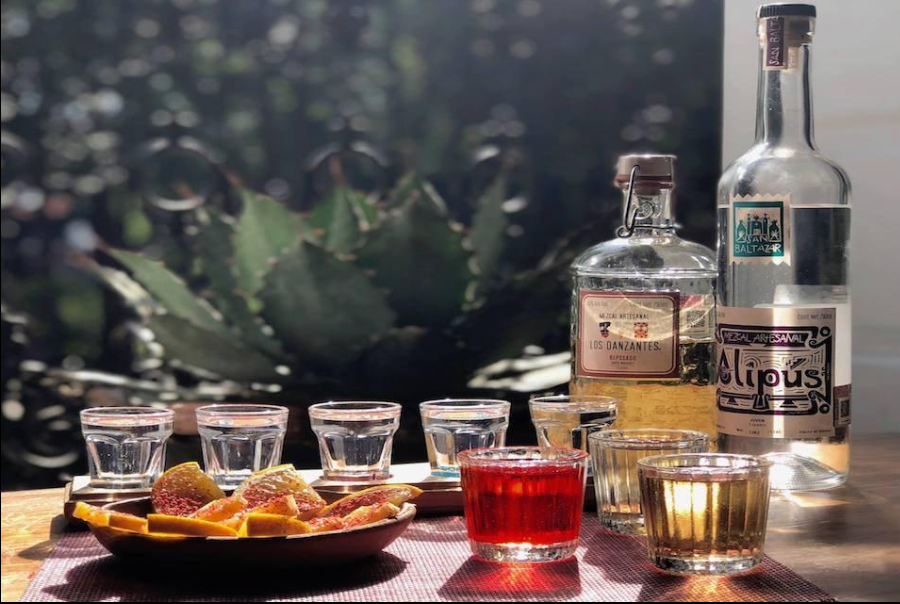 mezcal vs tequila — a beginner's guide for travellers in mexico