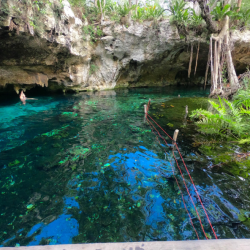 cenote swim at dos ojos or jardín del edén