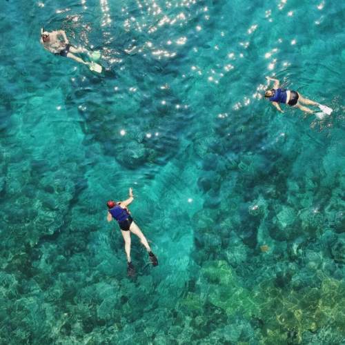 cozumel — the complete guide