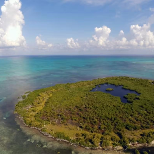 day trip to banco chinchorro