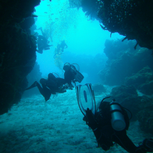 dive the reef wall and caverns
