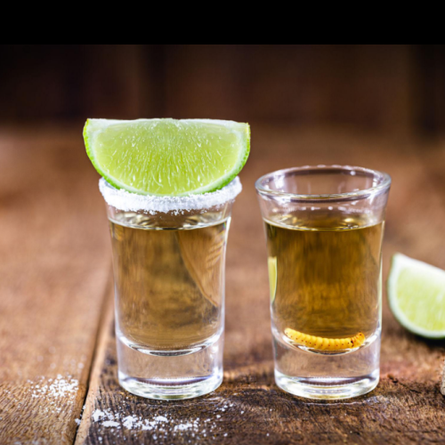 mezcal