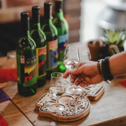mezcal vs tequila — a beginner's guide