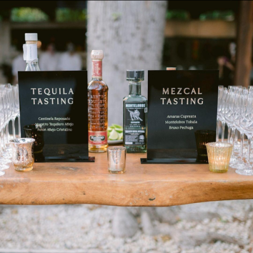 mezcal vs tequila — a beginner's guide