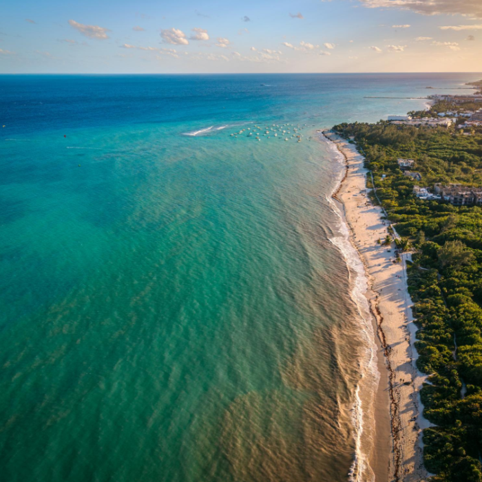 playa del carmen