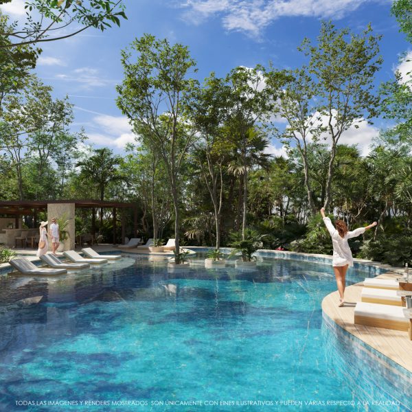 selva real alberca w