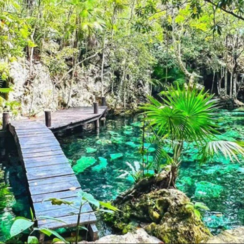 swim in a cenote