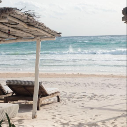 the low key palapa