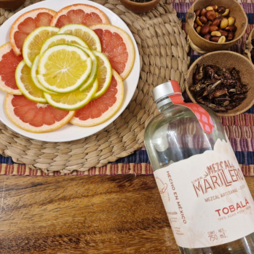 tobalá mezcal — the next level