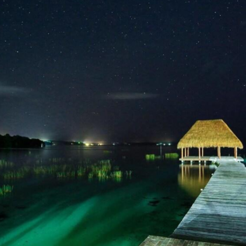 watch the bioluminescence after dark